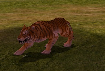 Atkozott tigris.jpg
