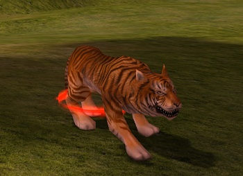 Ehes tigris.jpg